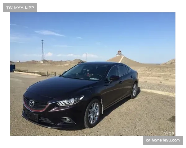 岁迷你罗分享人生首辆车，兰博基尼成社交媒体热点